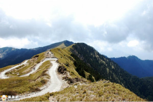 【南投】雲頂雪鄉｜合歡山國家森林遊樂區