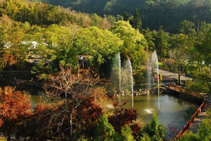 【台中】台中後花園｜東勢林場