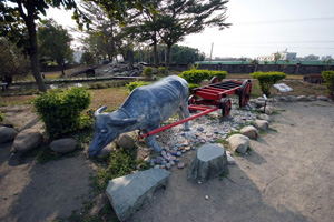 【雲林】土生物復育的場地｜廣興教育農園