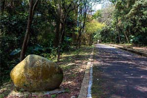 【大溪三坑】石門大圳三坑—桃園自在遊