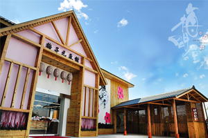 【嘉義‧梅山】梅問屋
