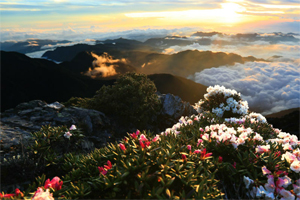 玉山行安全登山教育影片