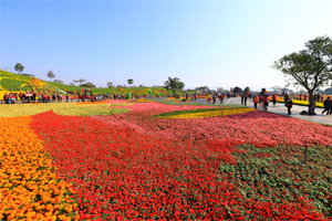 巨型花卉音樂盒 定時花開 花現童趣