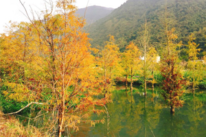 跟著草莓去旅行 慢活深遊南投山城