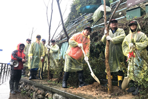 水社柳全台僅存2千株 日月潭官民合力復育