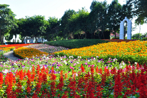 【彰化·芬園】就是愛荔枝樂園