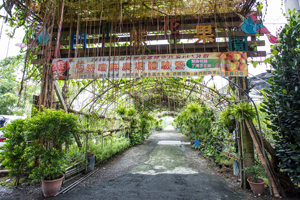 【彰化·大村】劍門生態花果園休閒農場