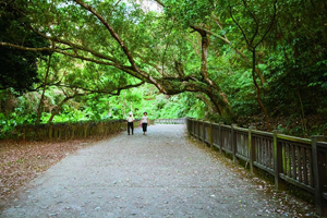 【彰化·田中】田中森林公園．赤水崎步道(登山懷舊之旅)