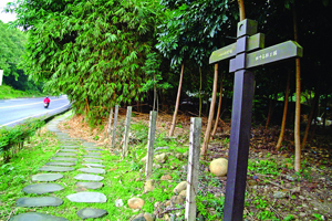 【彰化·田中】田中森林公園