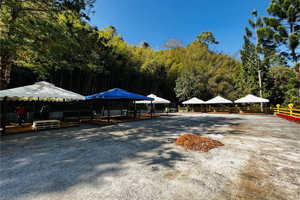 【苗栗·卓蘭區】頤生園露營區｜這幾年除了豪華露營外， 也有許多人喜歡自己搭帳棚體驗在森林中露營的樂趣