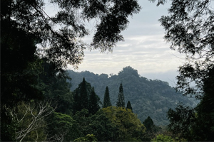 【苗栗·卓蘭區】大克山森林遊樂區｜除了後半段的路線比較有起伏， 前半段的路線都非常好走