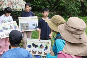 【台中限定】夏日山林化身賞蝶秘境
