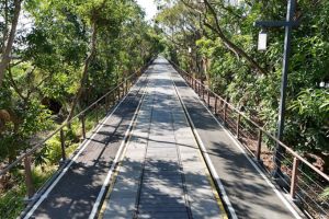 【嘉義限定】城鄉光廊騎起來!嘉油鐵馬道12/12 全線開通