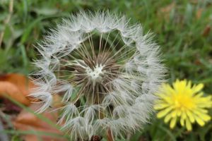 【台中限定】大甲鐵砧山情人節活動不間斷，2/14「尋找砧愛密碼」浪漫開跑