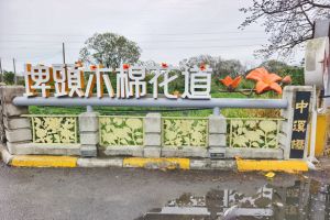 【彰化限定】2026 木棉花季：有一種春天的紅，是木棉紅