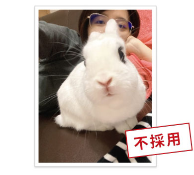 履歷照重點不在人