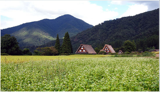 日本中部北陸旅遊